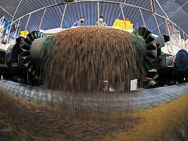 W przypadku produkcji 1-20 ton na godzinę, urządzenia linii produkcyjnej ziarnek proszku nawozu organicznego