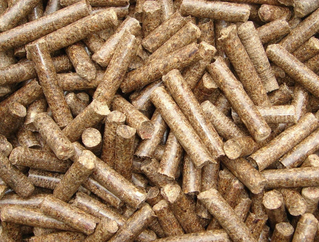 Maszyna do granulowania nawozów organicznych SHH-400 Nawóz sferoidujący do ekologicznej sferoidalizacji
