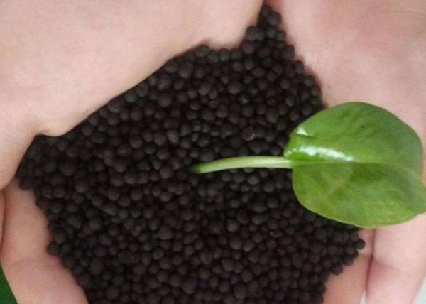 Linia produkcyjna nawozów organicznych pelletów dla gołębi nawoz organiczny linia produkcyjna nawozów